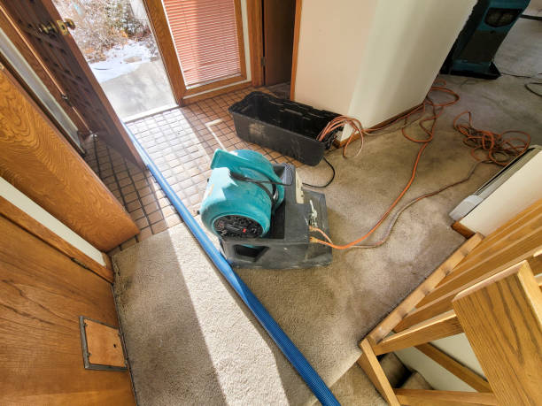 Best Commercial water damage restoration  in Grayling, MI