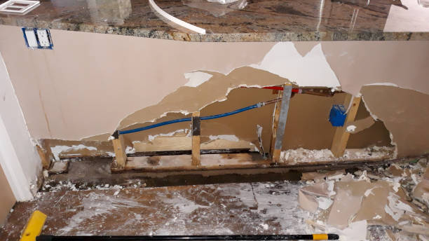 Best Professional water damage repair  in Grayling, MI
