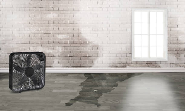Best Professional water damage repair  in Grayling, MI